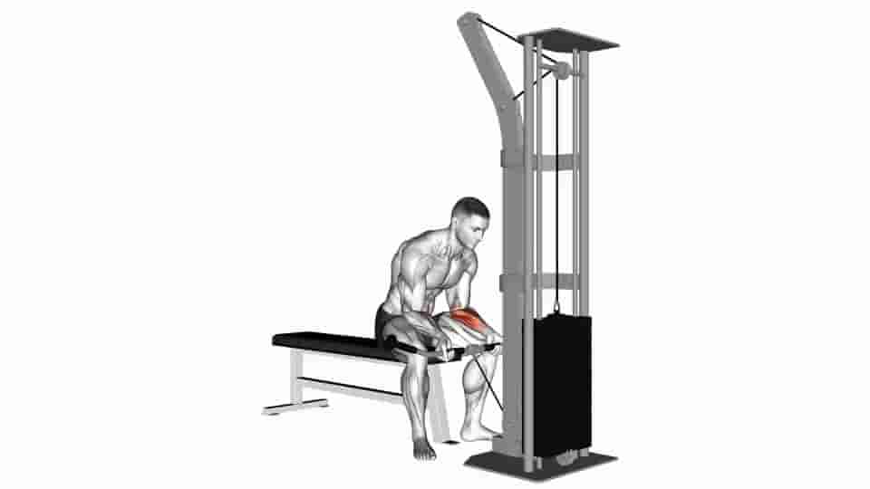 Thumbnail for the video of exercise: Cable Wrist Curl