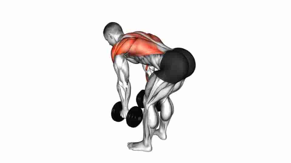 Thumbnail for the video of exercise: Dumbbell Bent Over Row