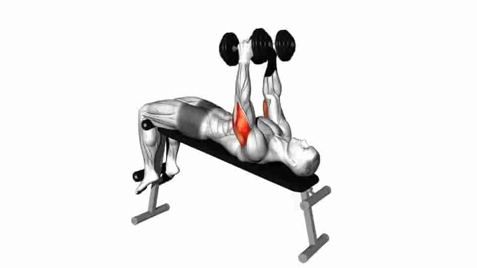Thumbnail for the video of exercise: Dumbbell Decline Triceps Extension