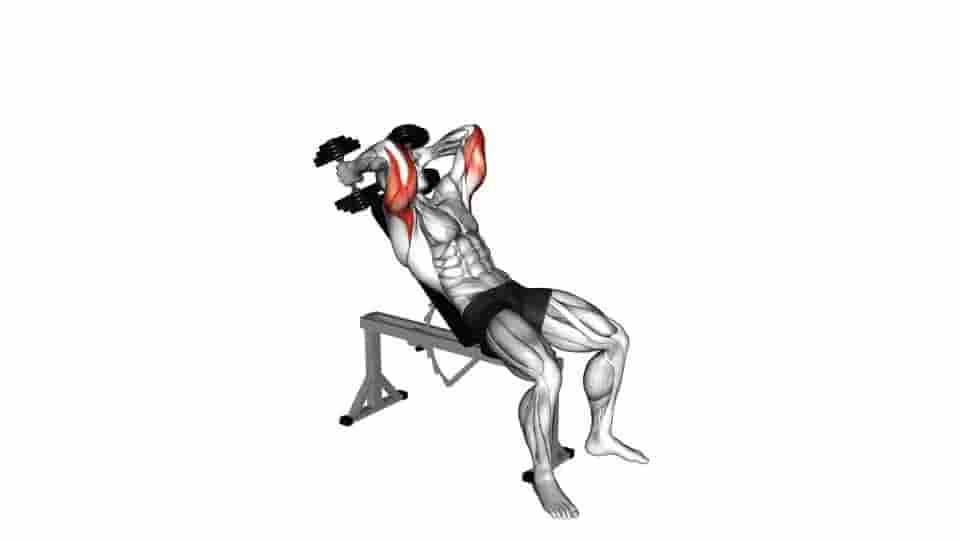 Thumbnail for the video of exercise: Dumbbell Incline Triceps Extension