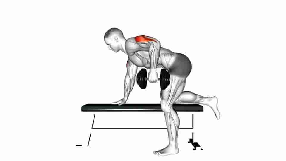 Thumbnail for the video of exercise: Dumbbell Kickback