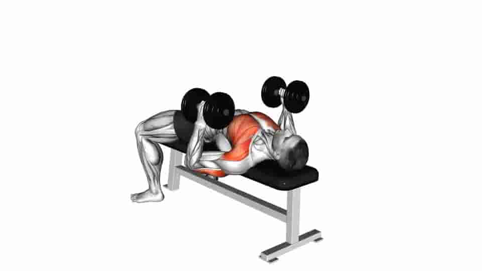 Thumbnail for the video of exercise: Dumbbell Lying Hammer Press