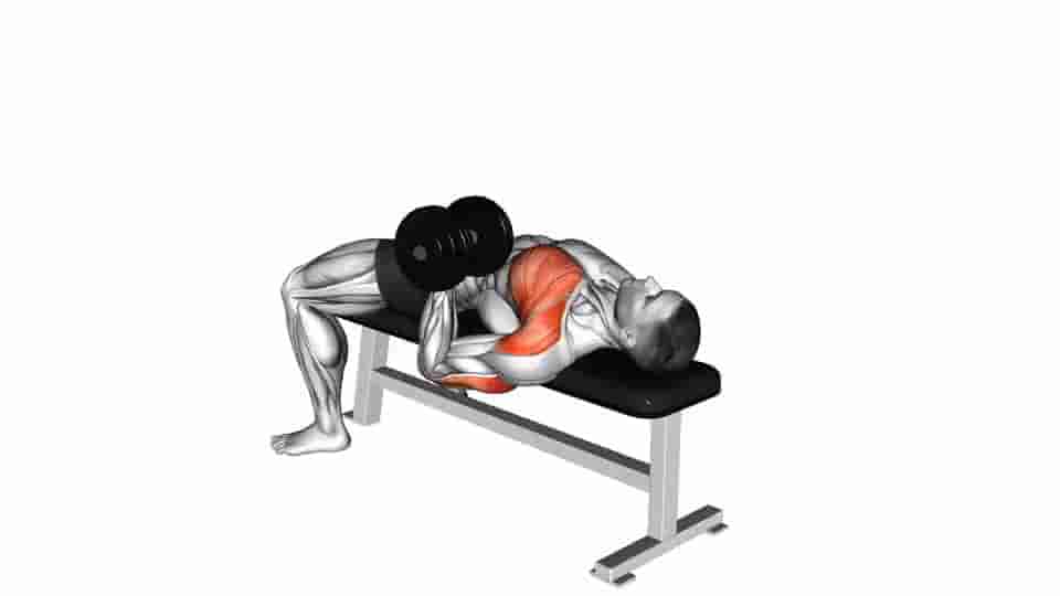 Thumbnail for the video of exercise: Dumbbell Lying One Arm Press