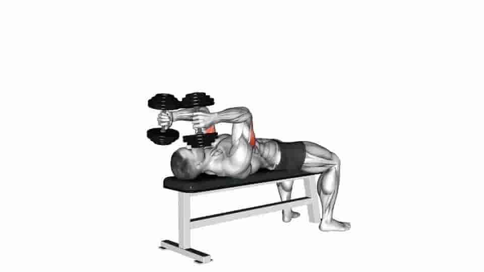 Thumbnail for the video of exercise: Dumbbell Lying Triceps Extension