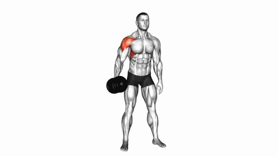 Thumbnail for the video of exercise: Dumbbell One Arm Lateral Raise