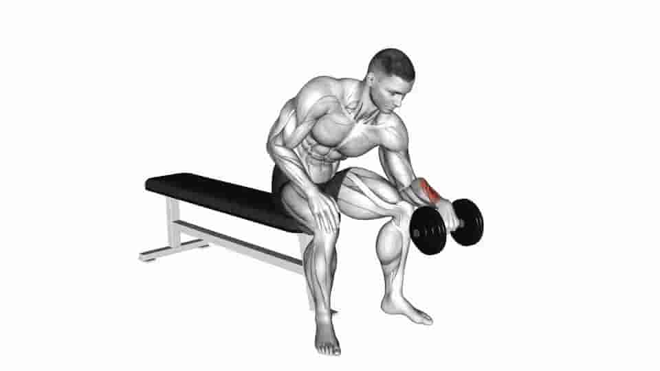 Thumbnail for the video of exercise: One arm Revers Wrist Curl