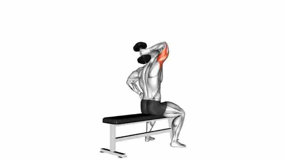 Thumbnail for the video of exercise: Dumbbell One Arm Triceps Extension 