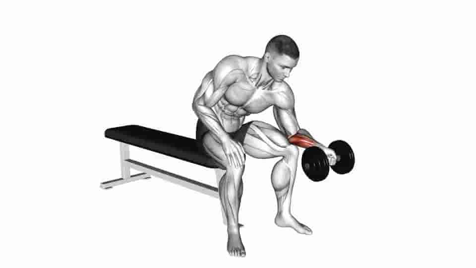 Thumbnail for the video of exercise: Dumbbell One arm Wrist Curl