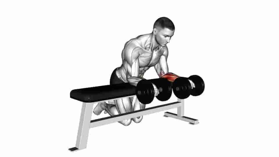 Thumbnail for the video of exercise: Over Bench Revers Wrist Curl