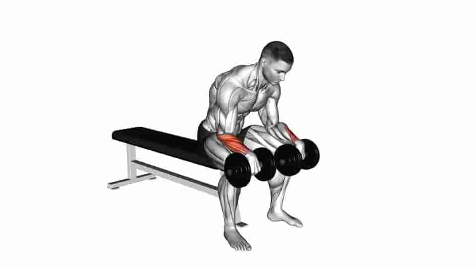 Thumbnail for the video of exercise: Dumbbell Reverse Wrist Curl