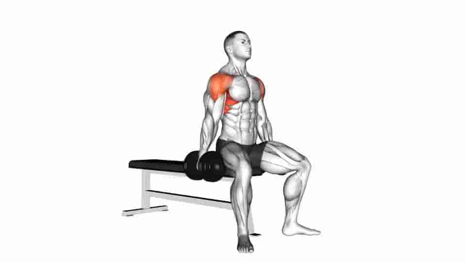 Thumbnail for the video of exercise: Dumbbell Seated Lateral Raise