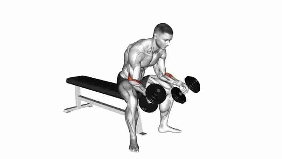 Thumbnail for the video of exercise: Seated Neutral Wrist Curl