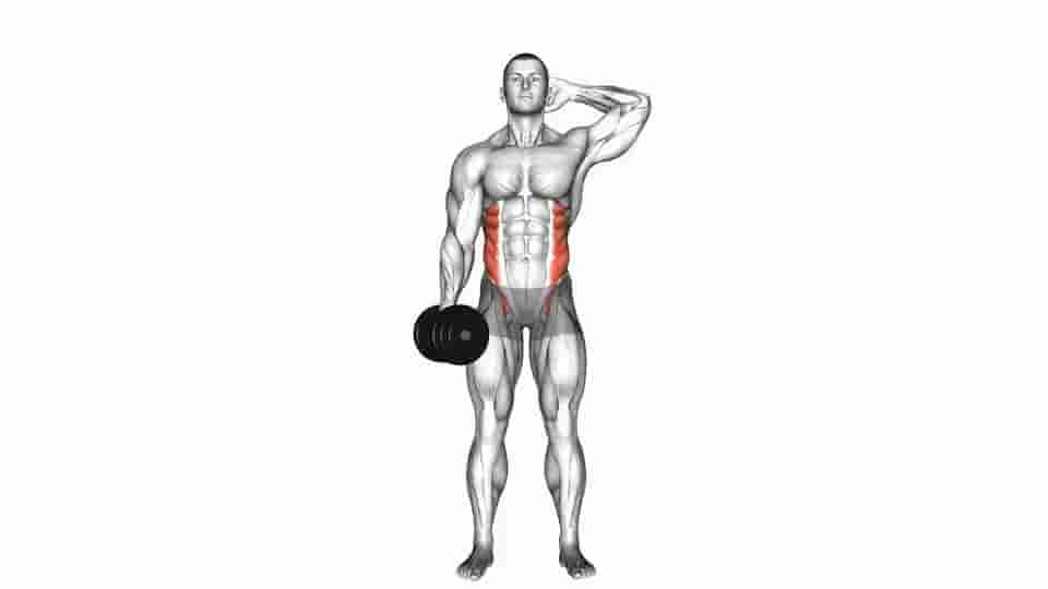 Thumbnail for the video of exercise: Dumbbell Side Bend