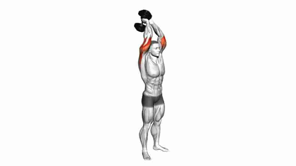 Thumbnail for the video of exercise: Dumbbell Standing Triceps Extension
