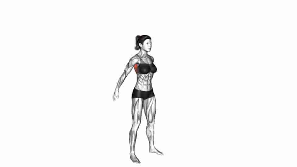 Thumbnail for the video of exercise: Dynamic Back Stretch