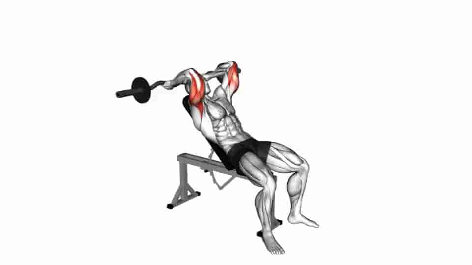 Thumbnail for the video of exercise: EZ Barbell Incline Triceps Extension