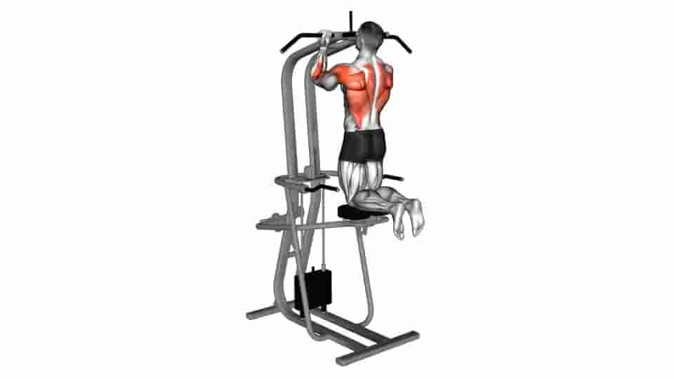Thumbnail for the video of exercise: Lever Assisted Chin-Up