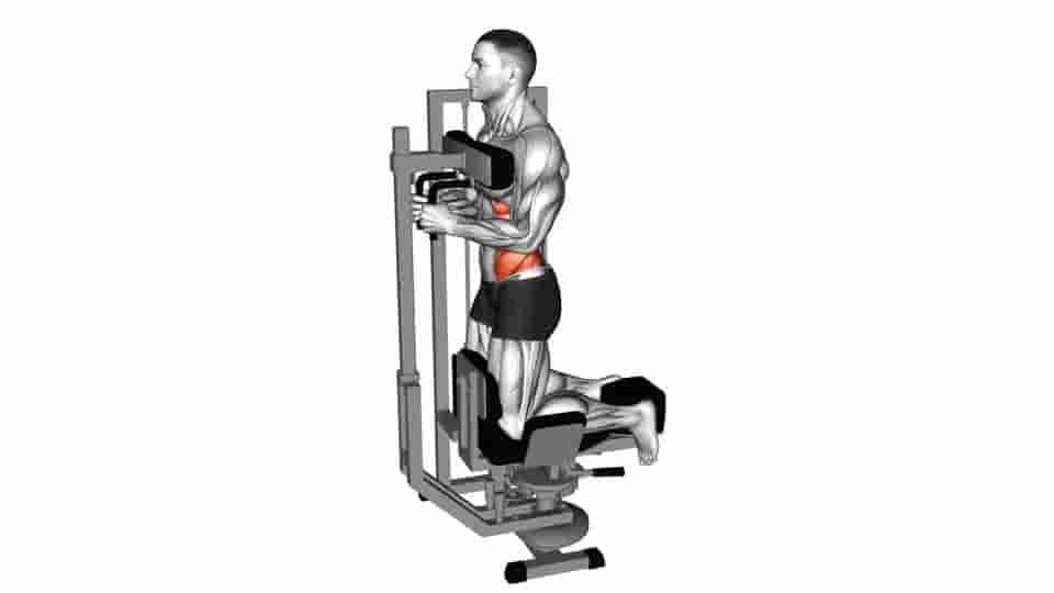 Thumbnail for the video of exercise: Lever Kneeling Twist