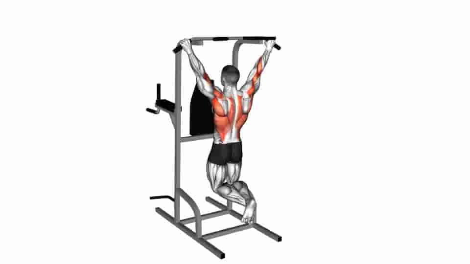 Thumbnail for the video of exercise: Pull up 