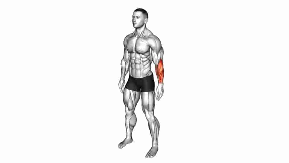 Thumbnail for the video of exercise: Side Wrist Pull Stretch
