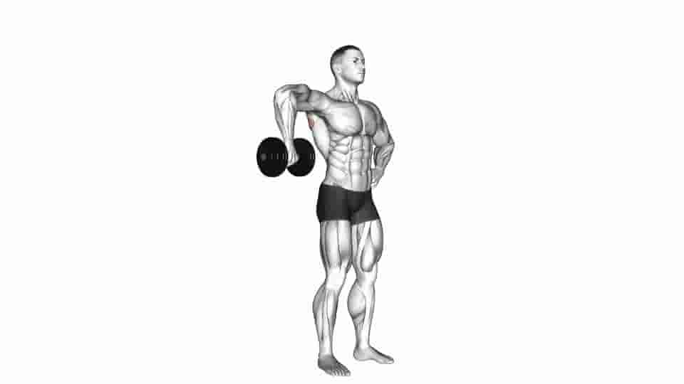 Thumbnail for the video of exercise: Dumbbell Upright Shoulder External Rotation