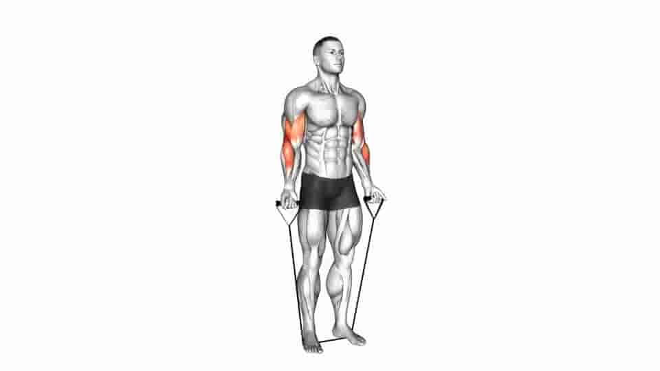 Thumbnail for the video of exercise: Band alternating biceps curl