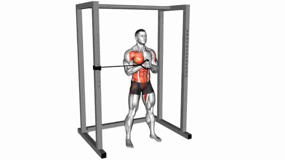 Thumbnail for the video of exercise: Band horizontal Pallof Press