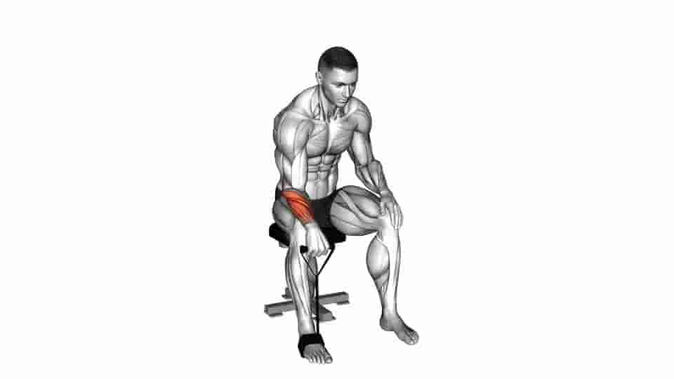 Thumbnail for the video of exercise: Band reverse wrist curl