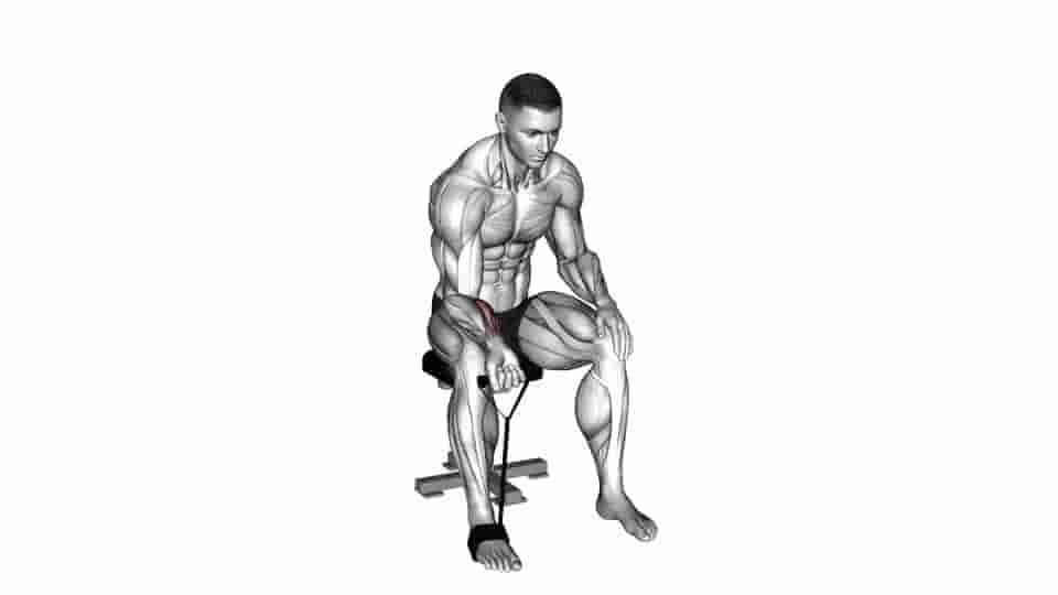 Thumbnail for the video of exercise: Band wrist curl