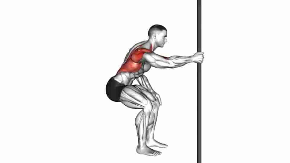 Thumbnail for the video of exercise: Fixed Bar Back Stretch