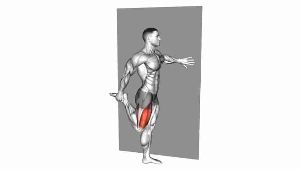 Thumbnail for the video of exercise: Standing Quadriceps Stretch