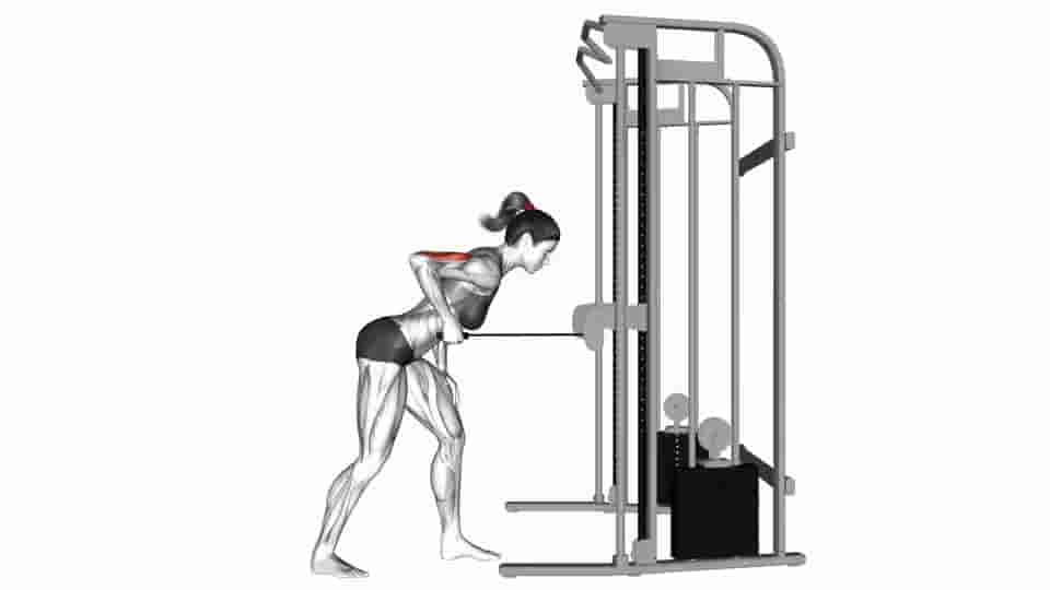 Thumbnail for the video of exercise: Cable kickback 