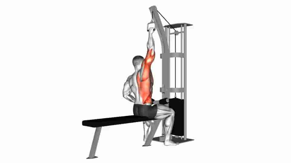 Thumbnail for the video of exercise: Cable one arm lat pulldown