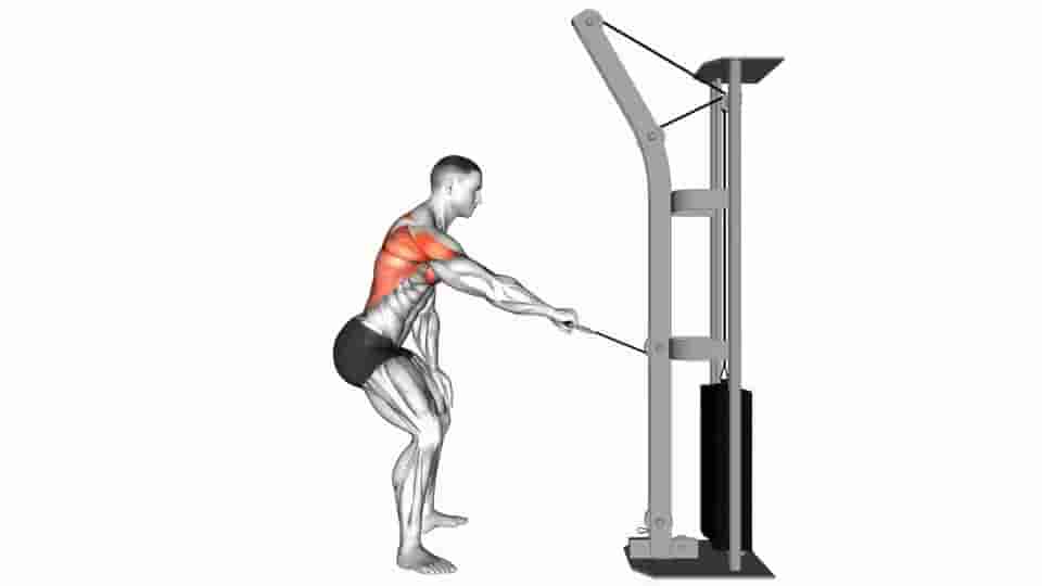 Thumbnail for the video of exercise: Cable Palm Rotational Row