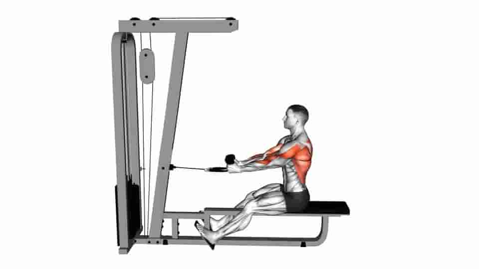 Thumbnail for the video of exercise: Rope Seated Row