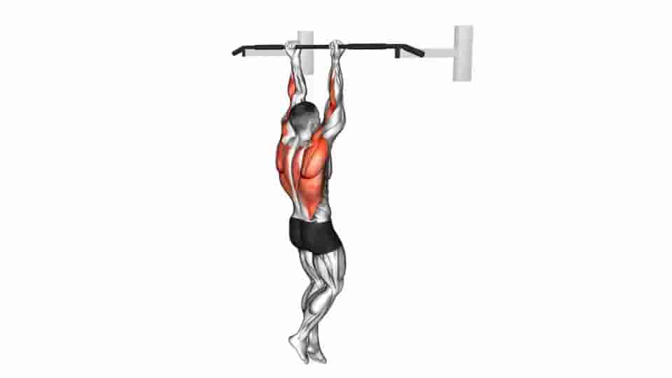 Thumbnail for the video of exercise: Chin-Up