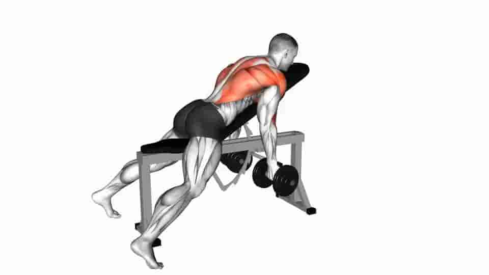 Thumbnail for the video of exercise: Lying Rear Delt Row
