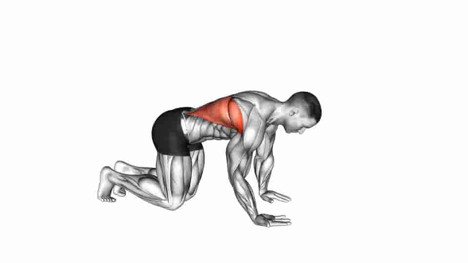 Thumbnail for the video of exercise: Kneeling Lat Stretch
