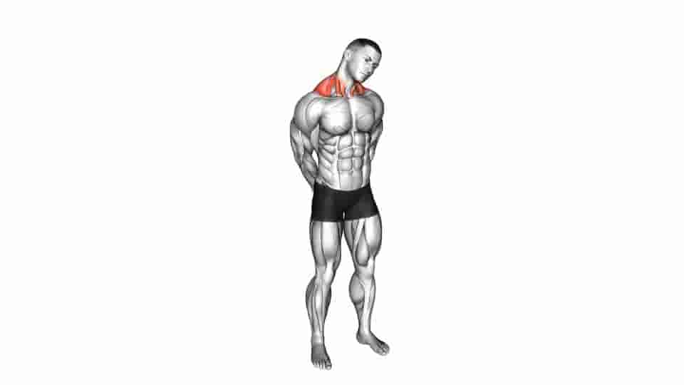 Thumbnail for the video of exercise: Neck Side Stretch