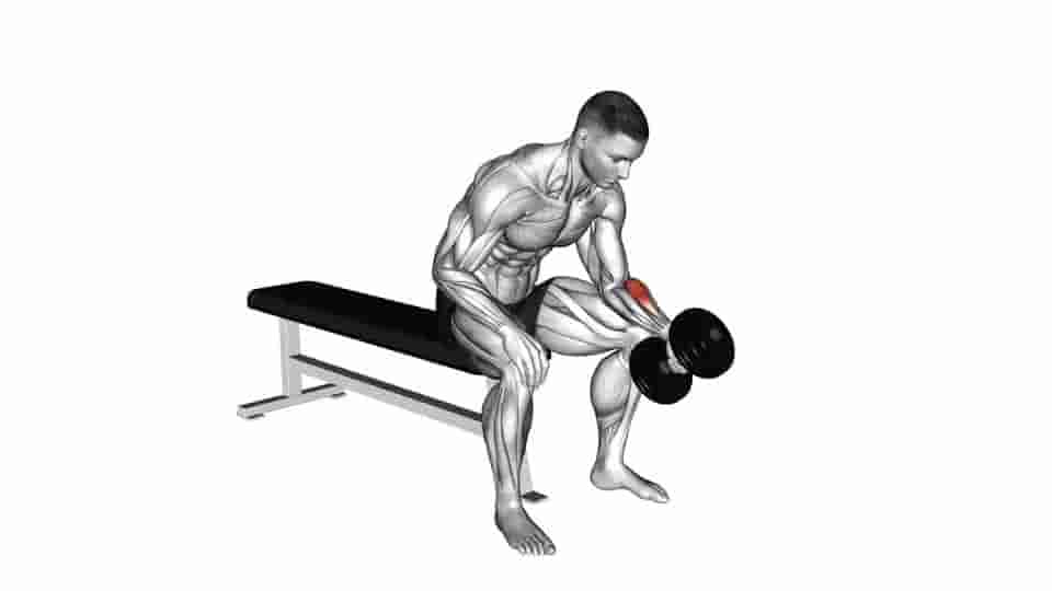 Thumbnail for the video of exercise: One Arm Seated Neutral Wrist Curl