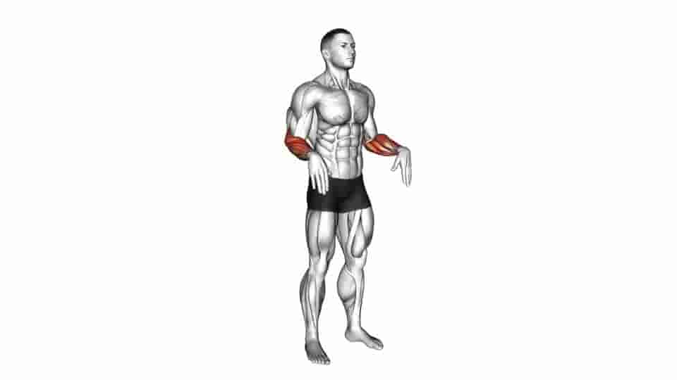 Thumbnail for the video of exercise: Wrist Circles