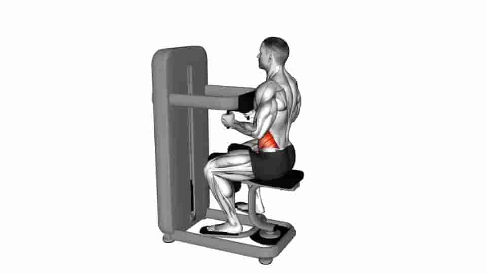 Thumbnail for the video of exercise: Lever Seated Twist