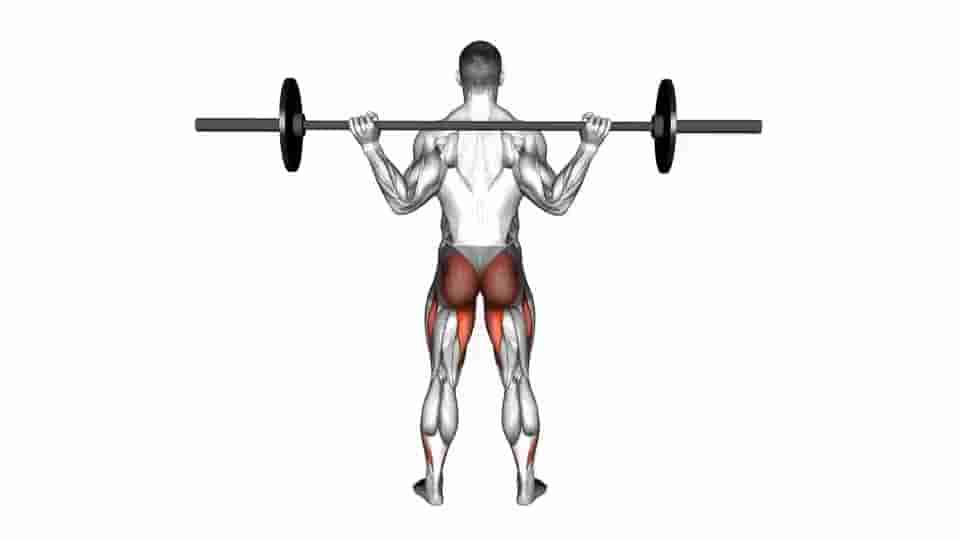 Thumbnail for the video of exercise: Barbell Full Squat 