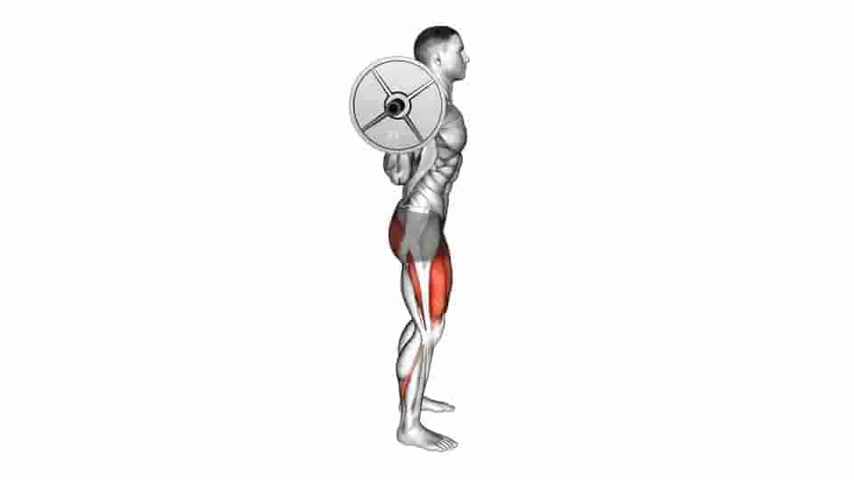 Thumbnail for the video of exercise: Barbell Full Squat 