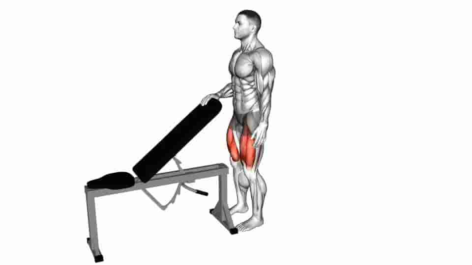 Thumbnail for the video of exercise: Sissy Squat
