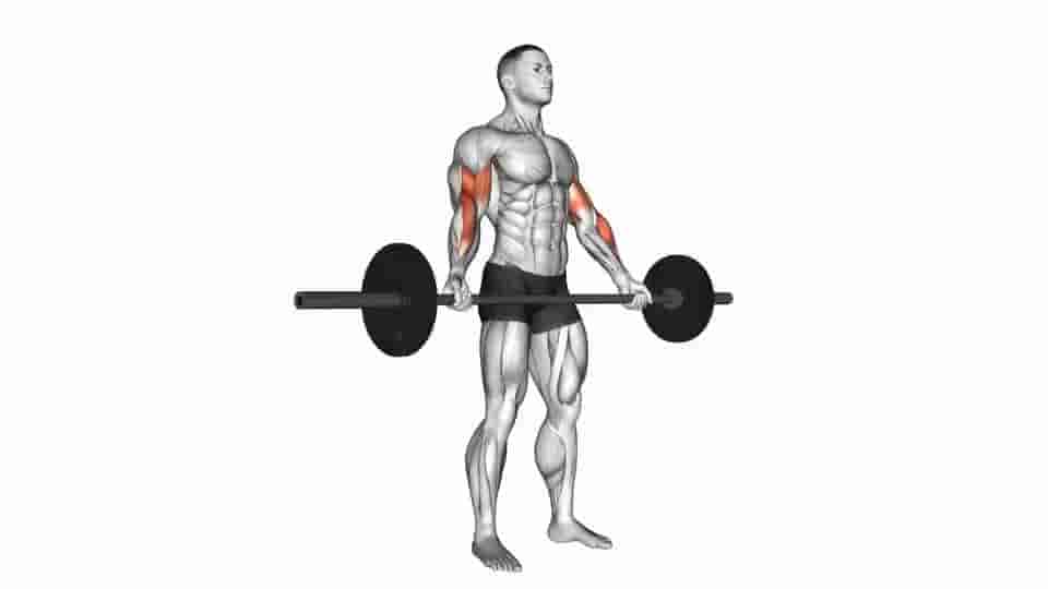 Thumbnail for the video of exercise: Standing Wide Grip Biceps Curl