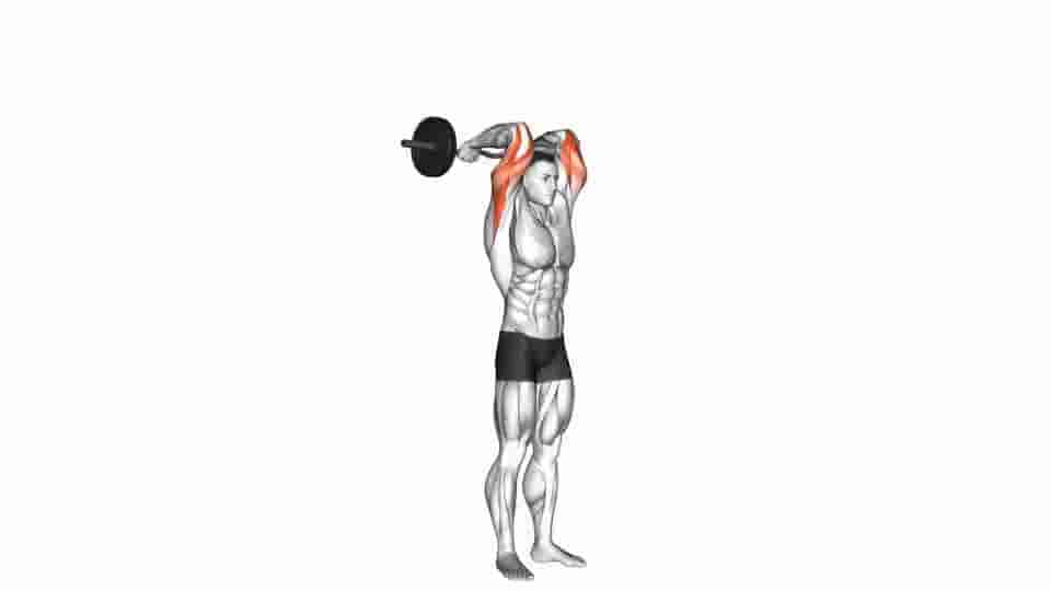 Thumbnail for the video of exercise: EZ Bar Standing French Press