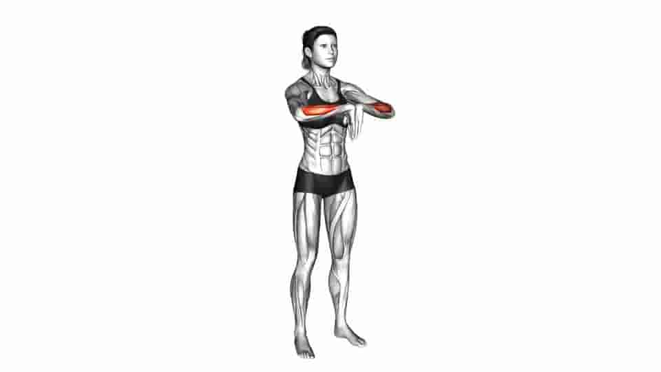 Thumbnail for the video of exercise: Wrist Extensor Stretch