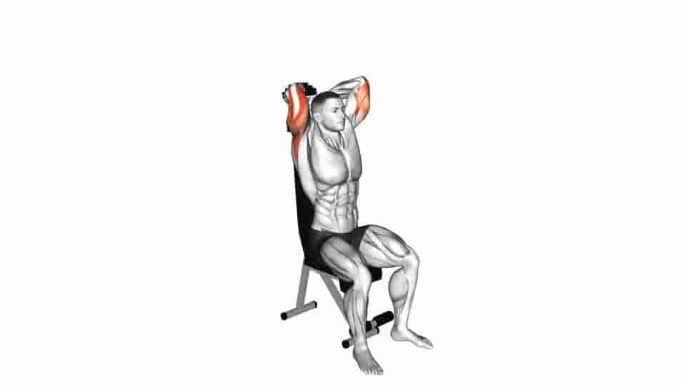 Thumbnail for the video of exercise: Dumbbell Seated Triceps Extension
