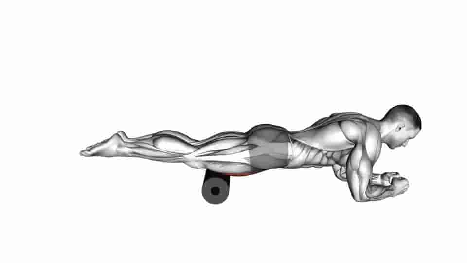 Thumbnail for the video of exercise: Roll Rectus Femoris